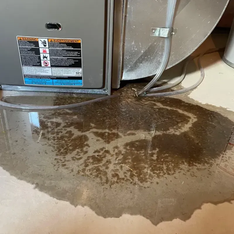 Appliance Leak Cleanup in Will County, IL